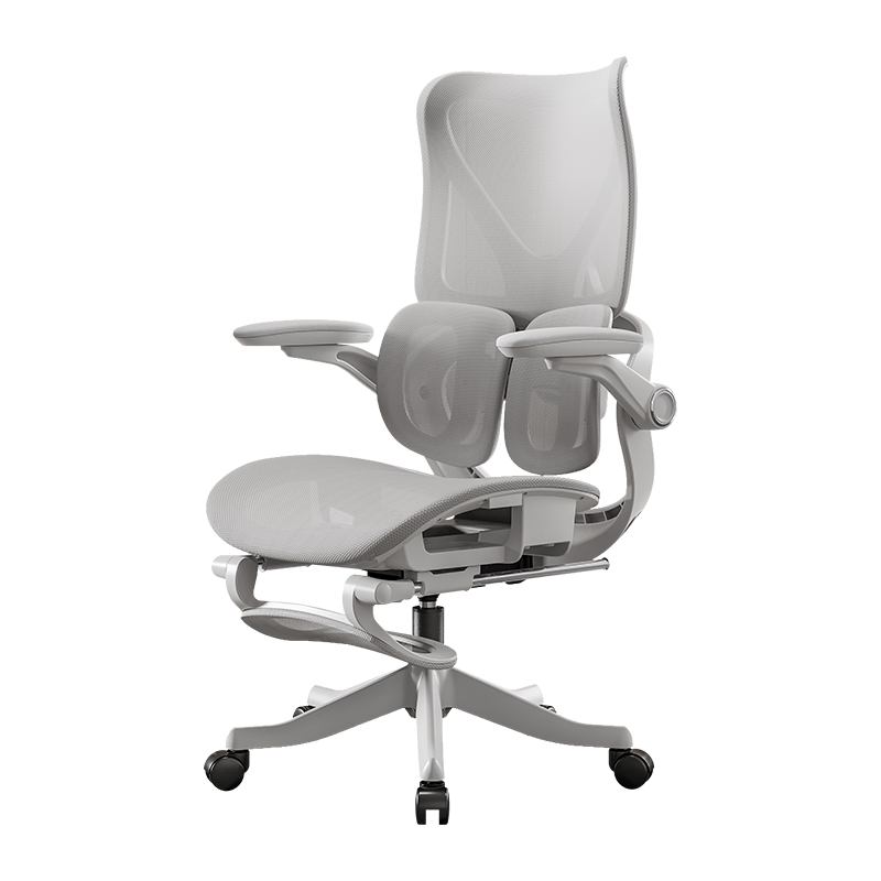 Esports Gaming Chair - Multifunctional Computer Office Chair Lumbar Double
